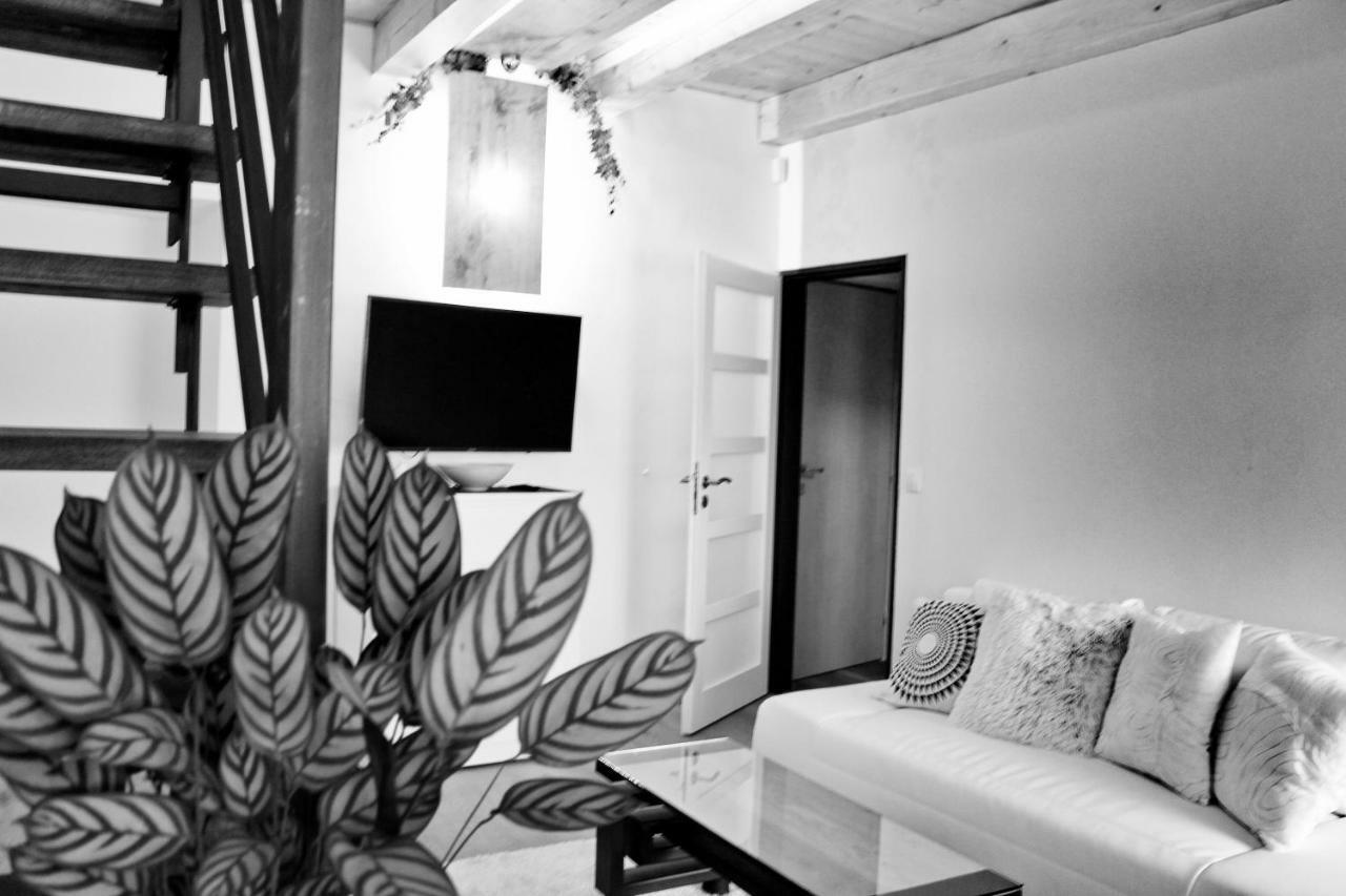 Apartment Ztracena *